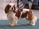 Grandwille